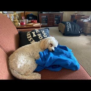 Meet your Posher, Nancy